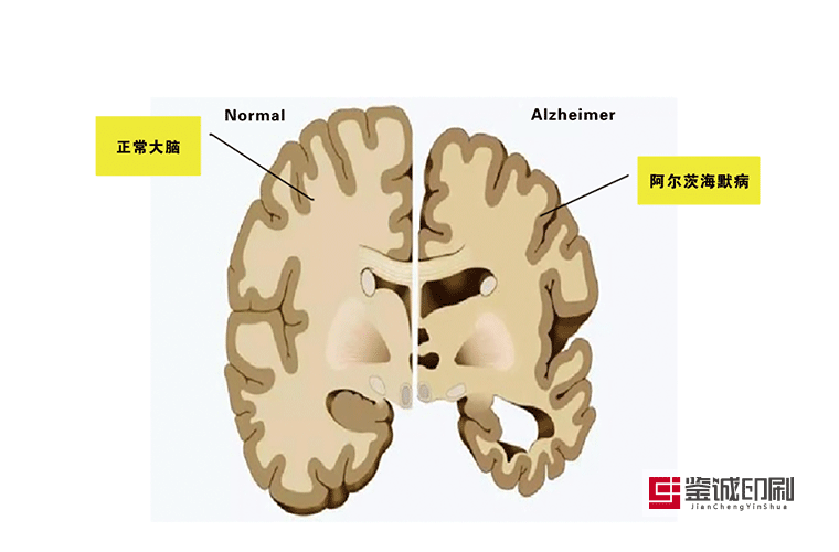 宣传手册印刷